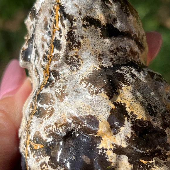 Picture jasper (1) owl craving | crystal - Picture 9 of 12